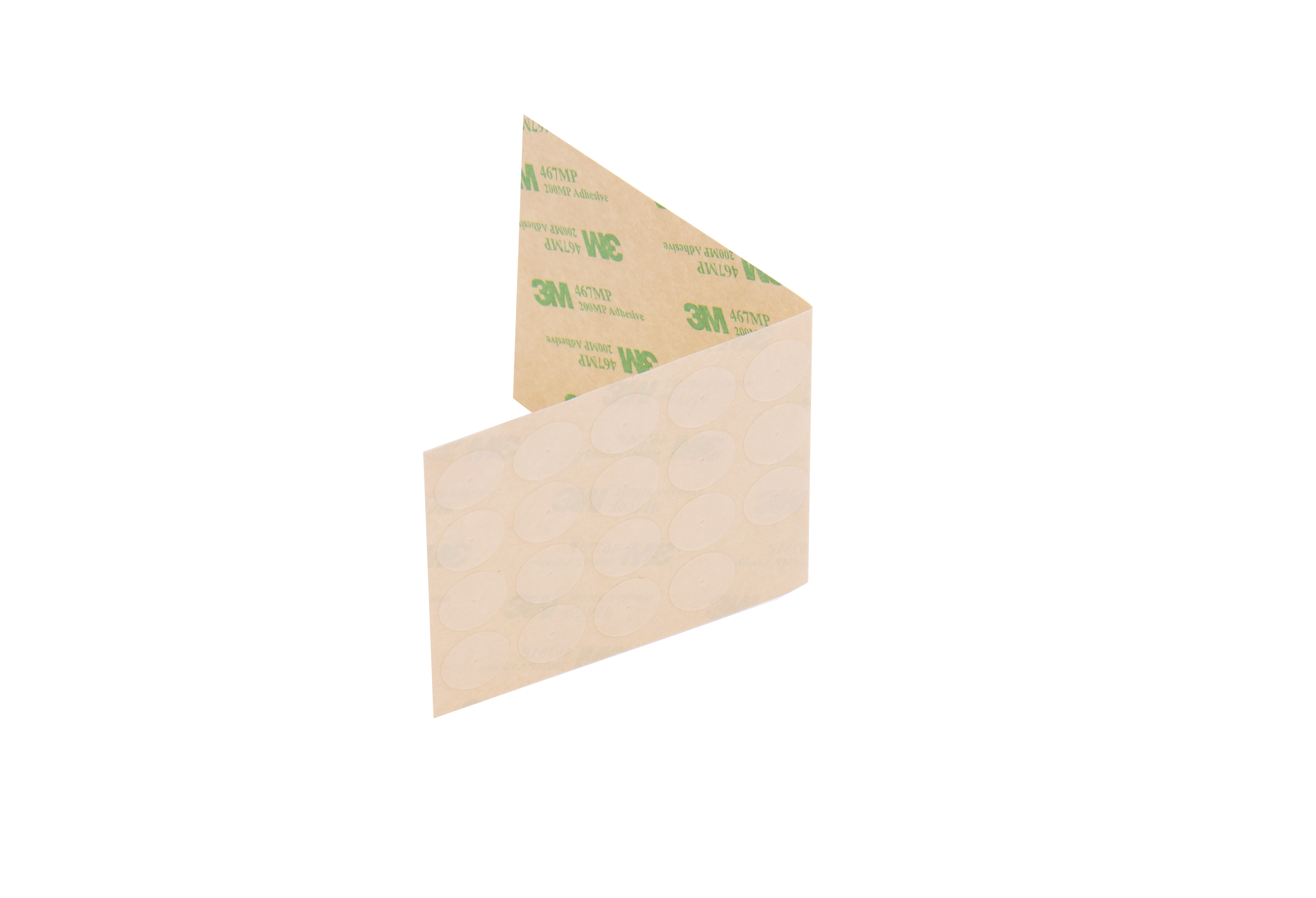 IMG_9164-2.png
