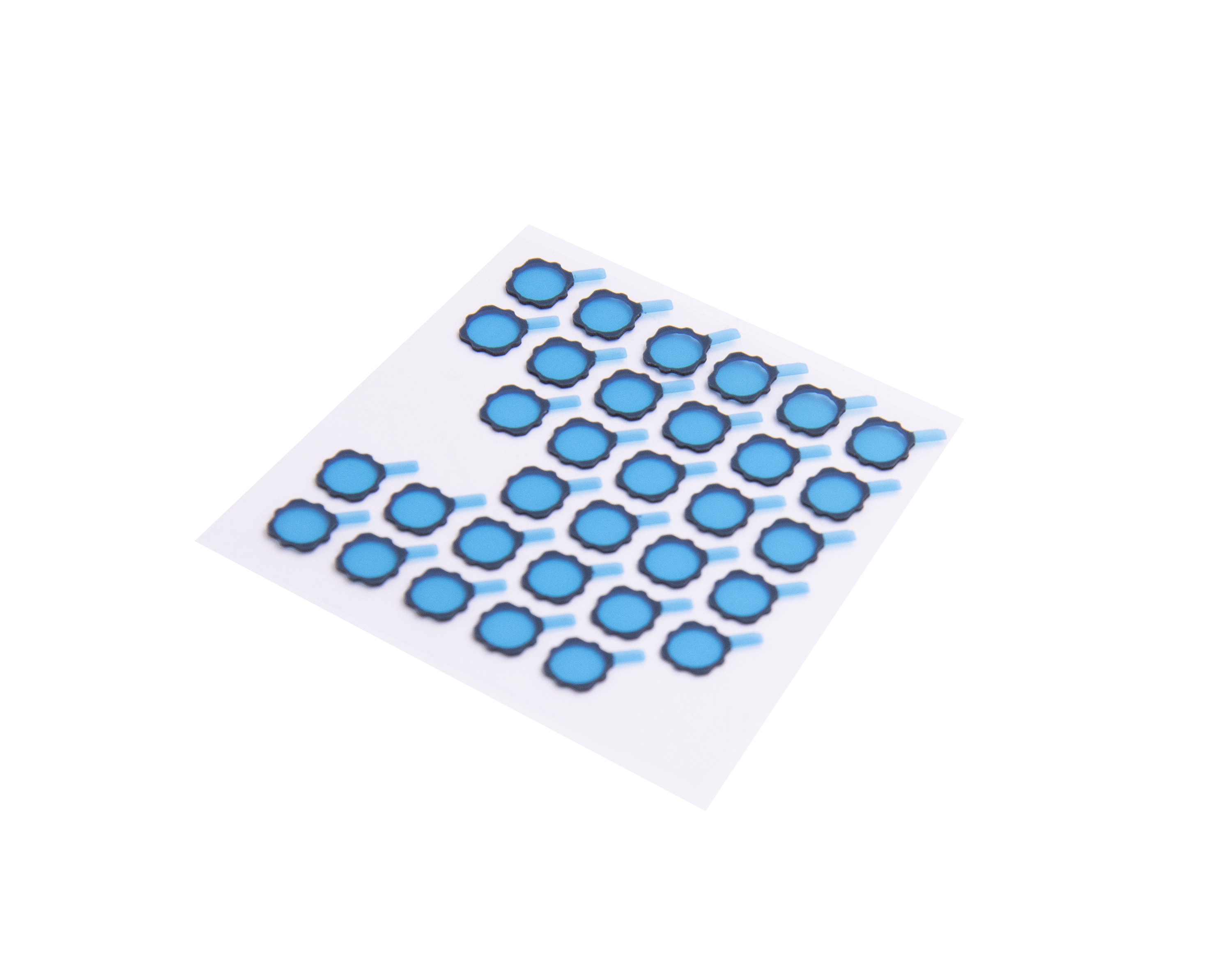 IMG_9138-2.png